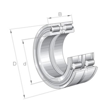 INA SL045010-PP cilinderrollager