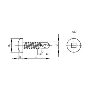 Maxxfast zelfborende pancilinderschroef met binnenvierkant 4,2 x 19mm, DIN 7504 M elvz.